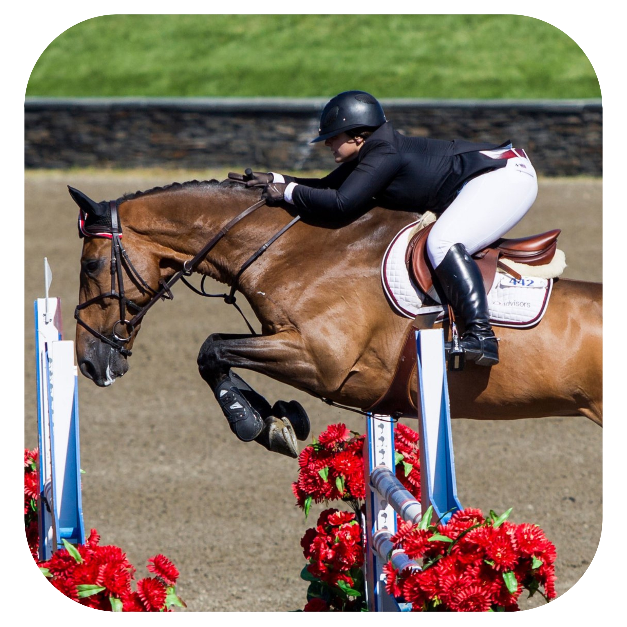 StriderGold- Account Upgrade