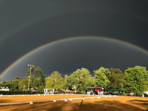 Six Reasons We LOVE Schooling Shows!