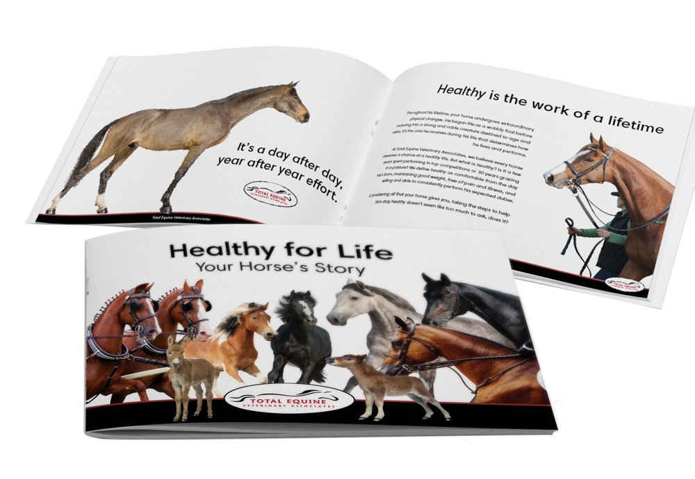 TEVA Healthy For Life Guide STRIDER