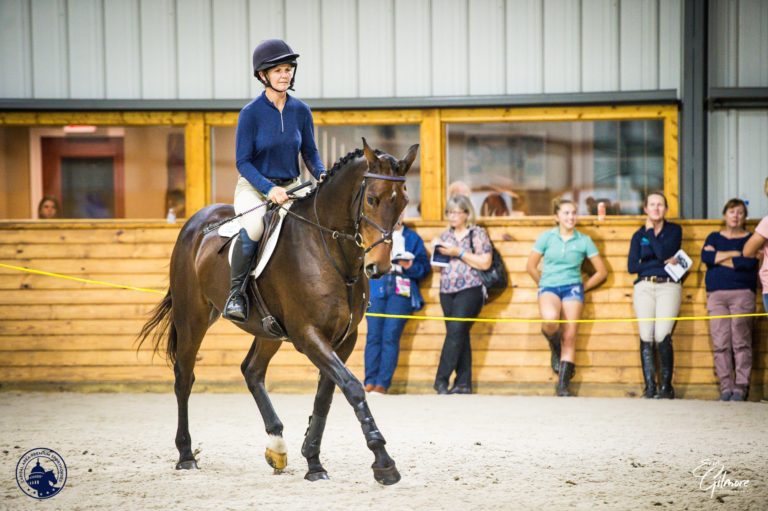 50 of our Favorite Equestrian Facebook Groups STRIDER