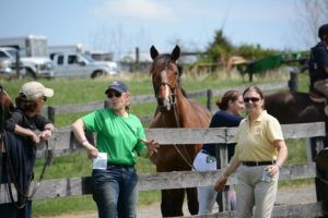 3 Ways Collecting Rider Email Addresses Will Benefit Your Equestrian Business