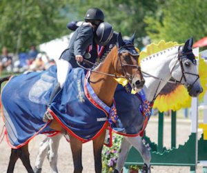 Show Organizer Hacks #5: Advertising Tips for Equestrian Organizers