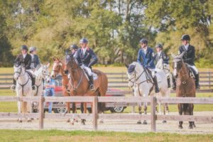 Business Tips | How To Cover Your Business With Insurance for Horse Shows & Clinics
