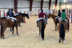 BUSINESS TIPS: 3 Ways To Increase Your Show Participants # With Instagram