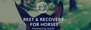 Keeping Horses Happy and Healthy with Rest & Recovery Presented by Hylofit