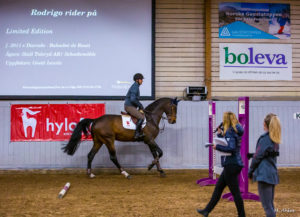 Keep Calm & Clinic On: Managing Nerves During Clinic Season Presented by Hylofit