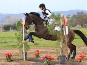 RIDER TIPS | Back Up Your Riding & Training Instincts with Data- Presented by Hylofit