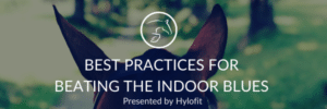 RIDER TIPS: 5 Ways to Beat the Winter Indoor Blues, Equestrian Style. Presented by Hylofit