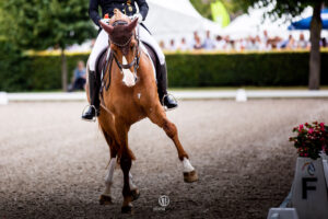 In Collaboration with PayPal, Strider Revolutionizes Entry Process for USEF/USDF Dressage Shows
