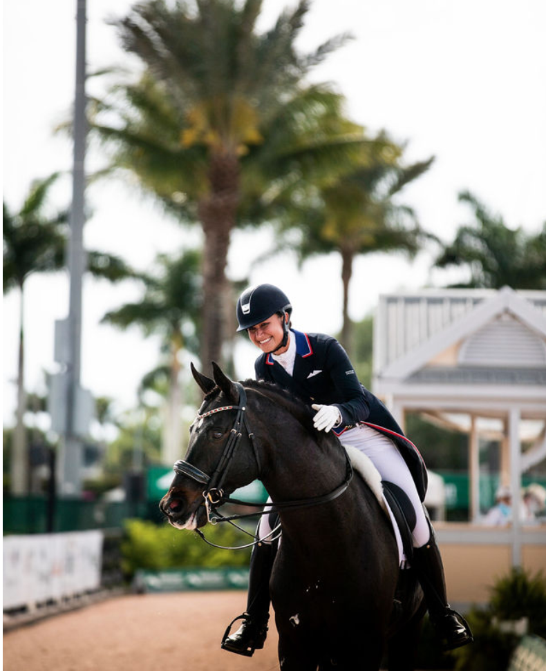 Customize Your Horse Show Entry Experience STRIDER