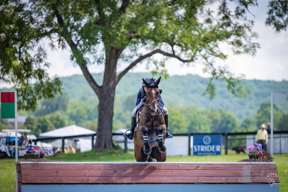 STRIDER Returns as United States Eventing Association Educational ...