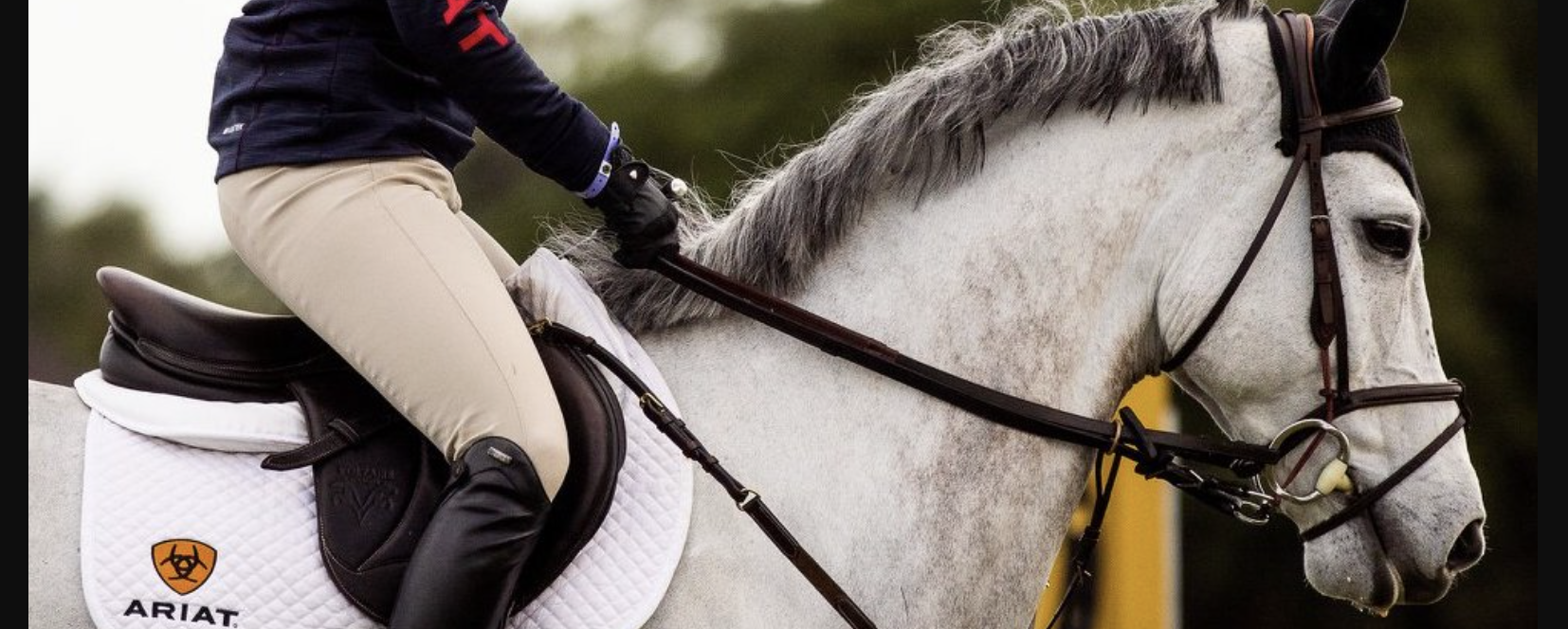 USEF_SHowJumping | STRIDER