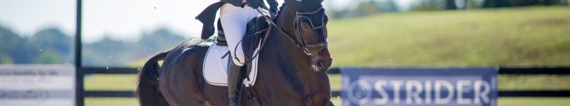 Strider Banner Dressage MPIUEO100925_gilmoreCCI2D_kt-3968 (1)