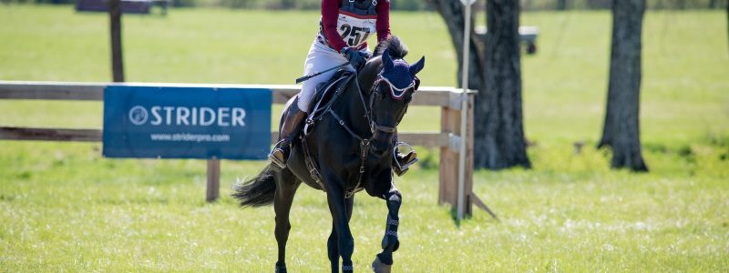 STRIDER StartBox- Moven Park